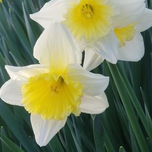 Meet your Posher, Anne